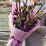 9 фиолетовых гладиолусов